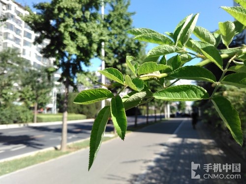 坚果手机全面评测:一款体面的千元机第47张图 坚果手机全面评测:一款体面的千元机第47张图